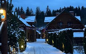 Готель Близнюки